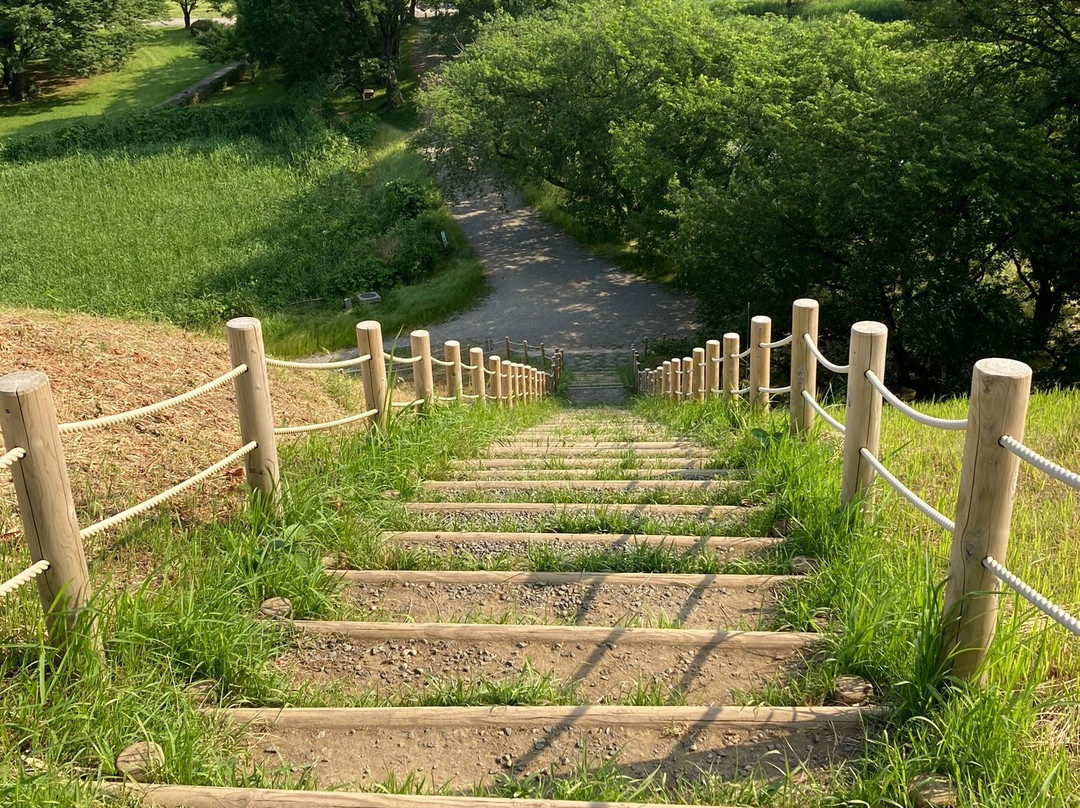 Sakitama Kofun Park-行田市必去景点