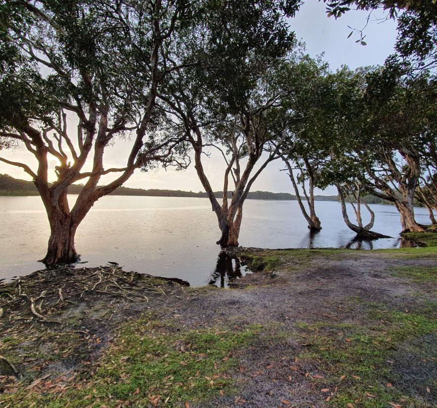Lake Ainsworth景点图片
