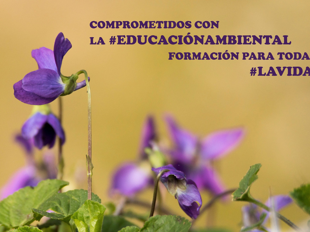 Viendo Verde-卡塞雷斯必去景点