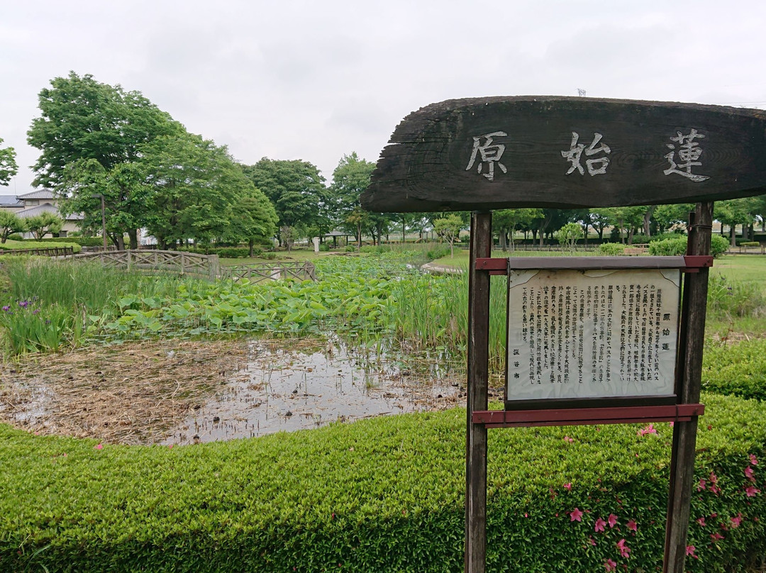 Nakajuku Historical Park景点图片