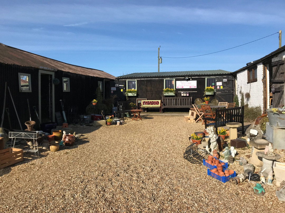 Dores Hill Farm Emporium-Wootton必去景点