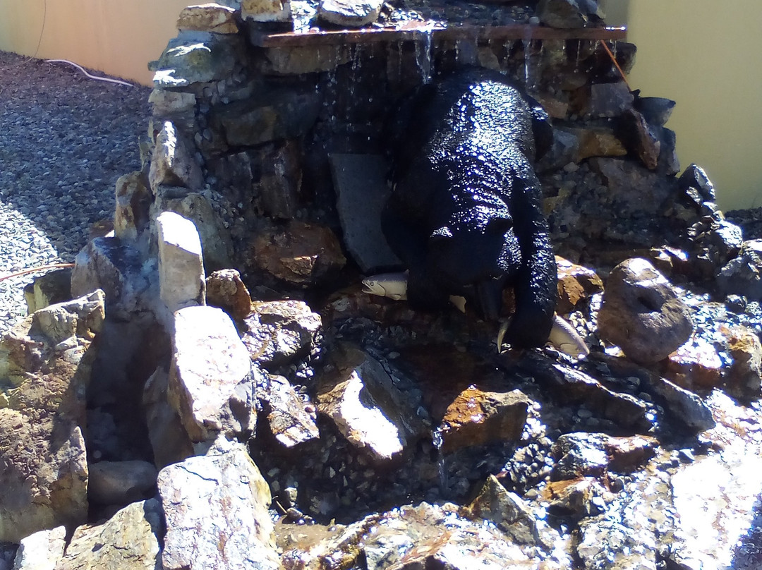 Super 8 by Wyndham Taos主图