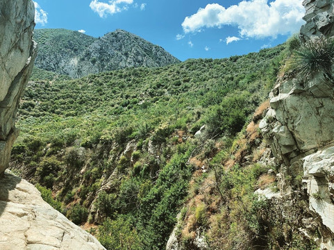 Trail Canyon Falls Trail-洛杉矶必去景点