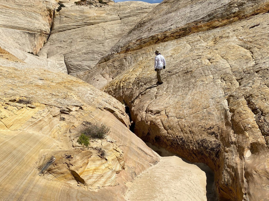 Utah Slickrock Guides-Boulder必去景点