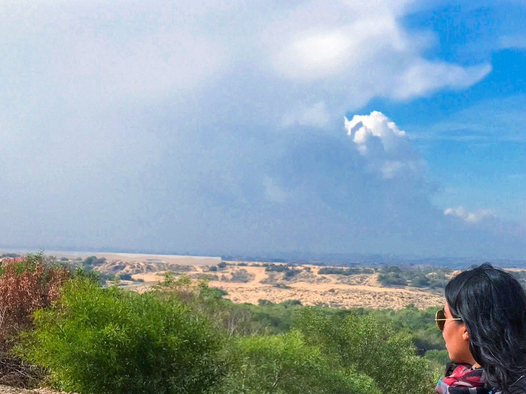 Path to Peace-Netiv HaAsara必去景点