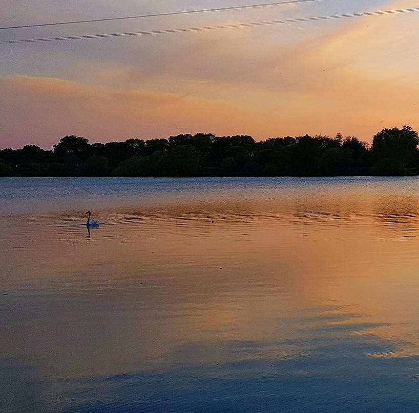 Papercourt Lake景点图片