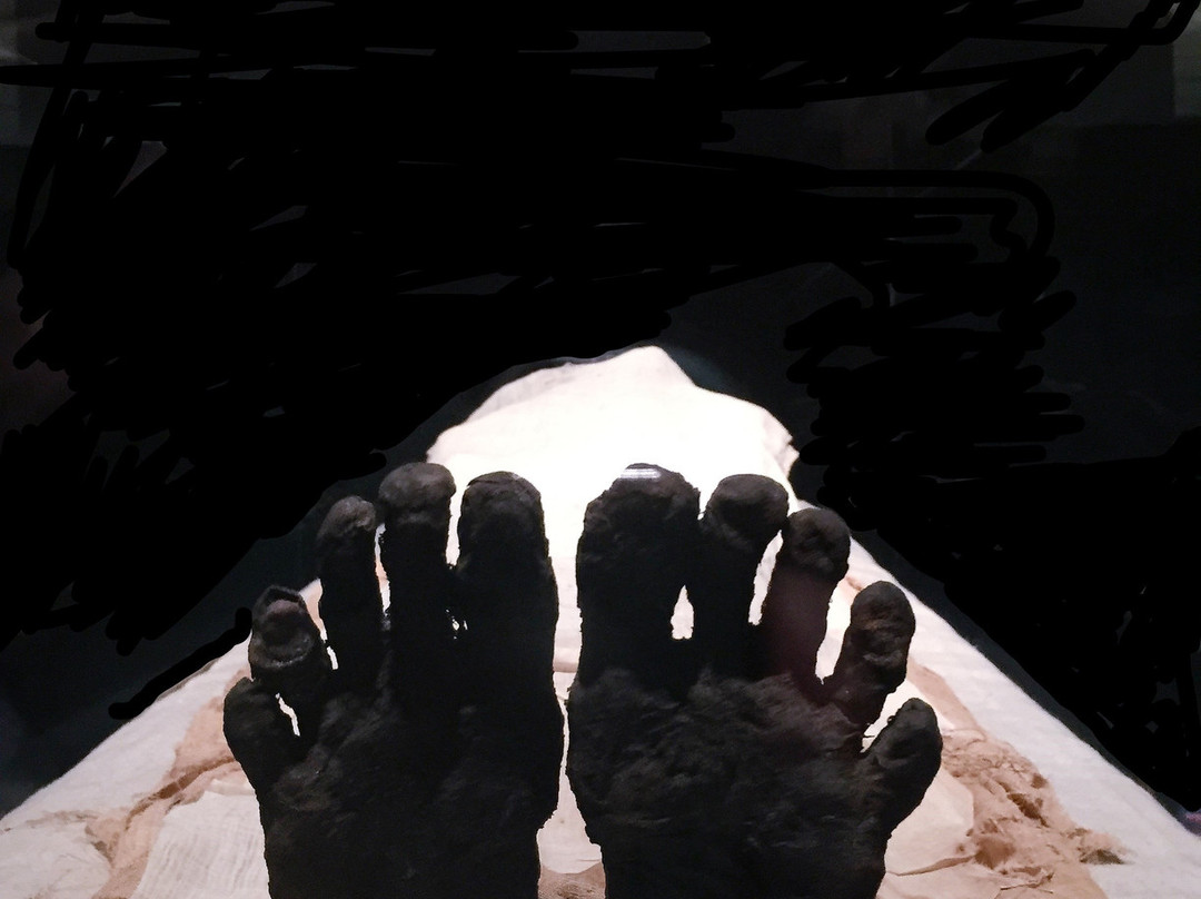 卢克索博物馆-卢克索必去景点