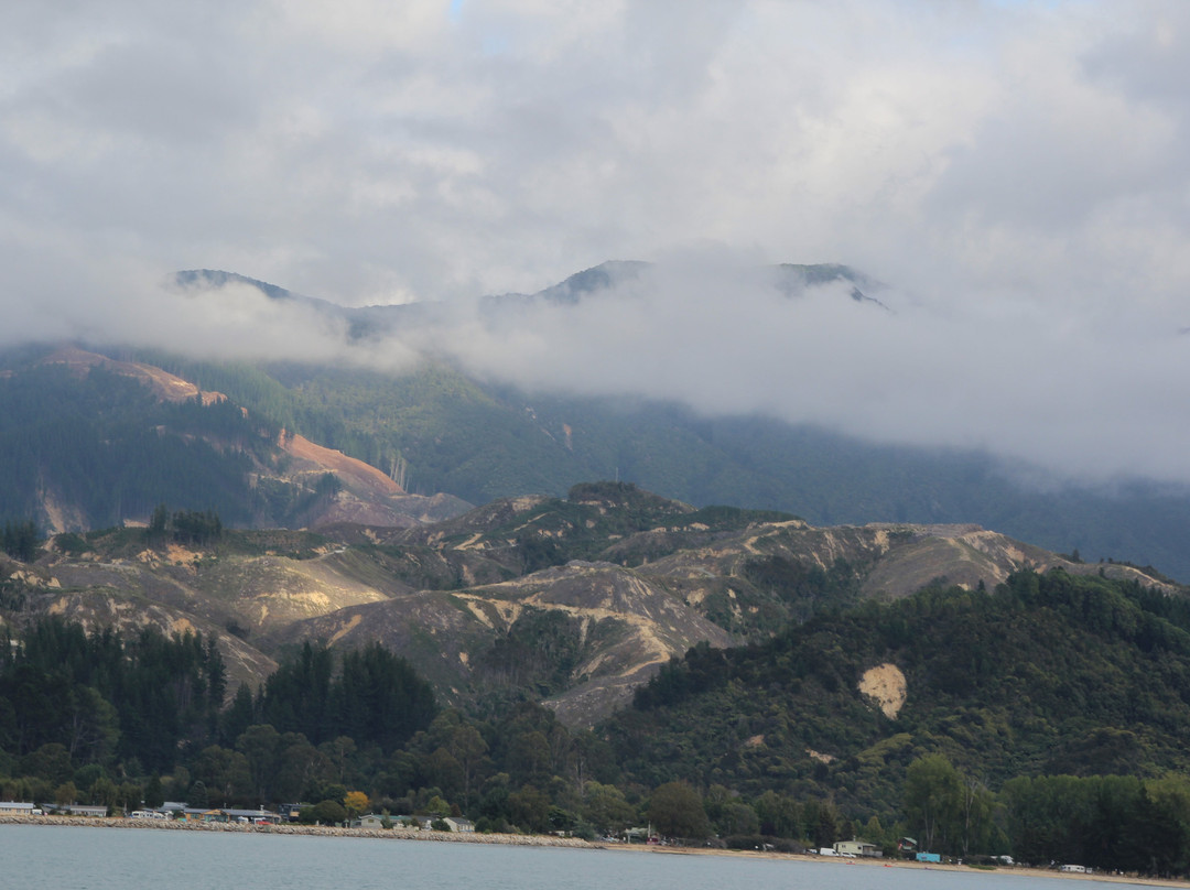 Tonga Island Marine Reserve-Abel Tasman National Park必去景点