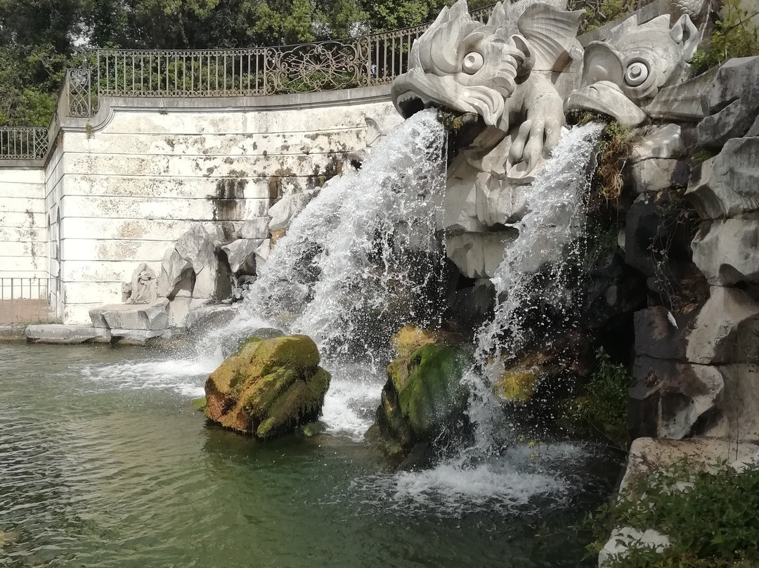 Parco Reale景点图片