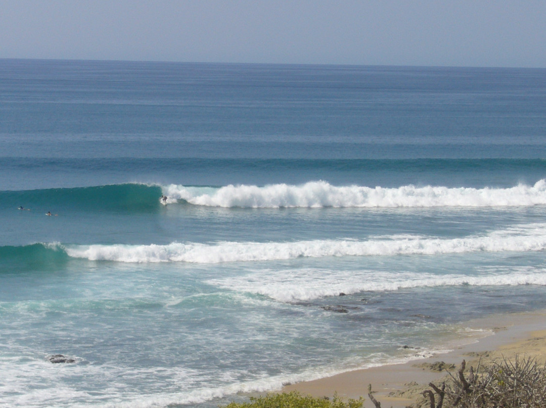 Surf in Cabo景点图片