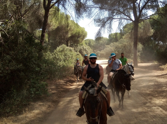 Discovering Andalucia Tours and Excursions-塞维利亚必去景点