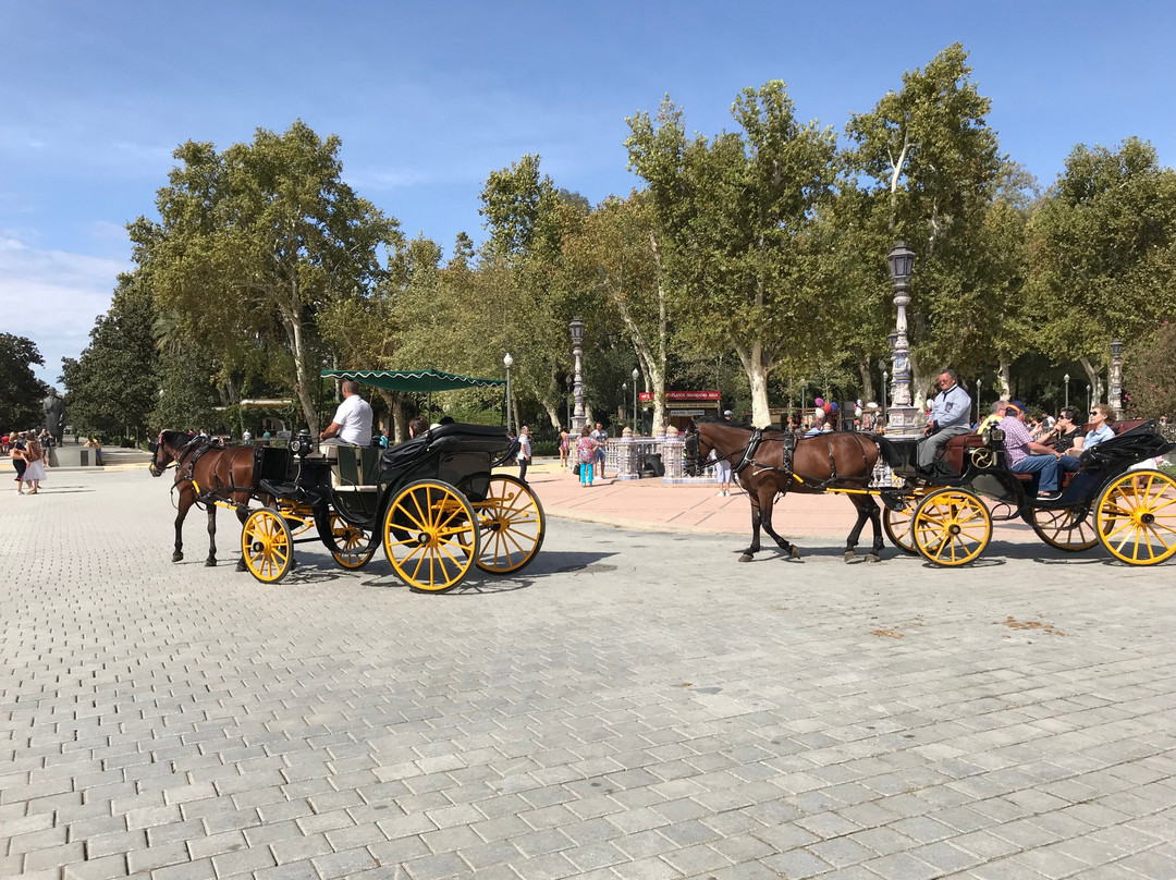 Seville Center-苏塞必去景点