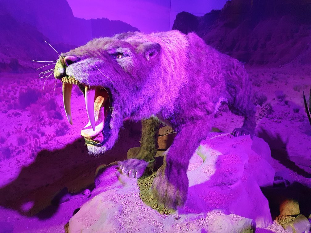 DinoPark Plaza Liberec-利贝雷茨必去景点
