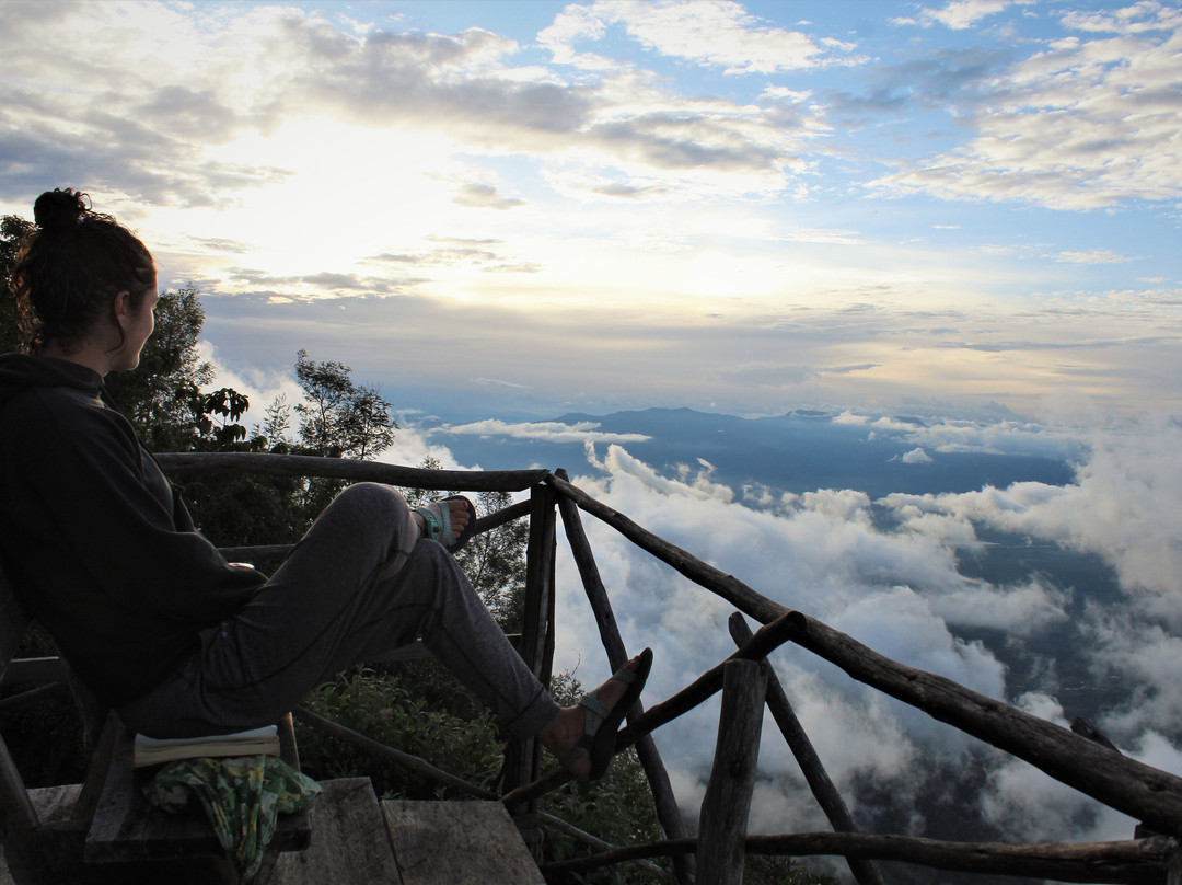 MamboViewPoint主图