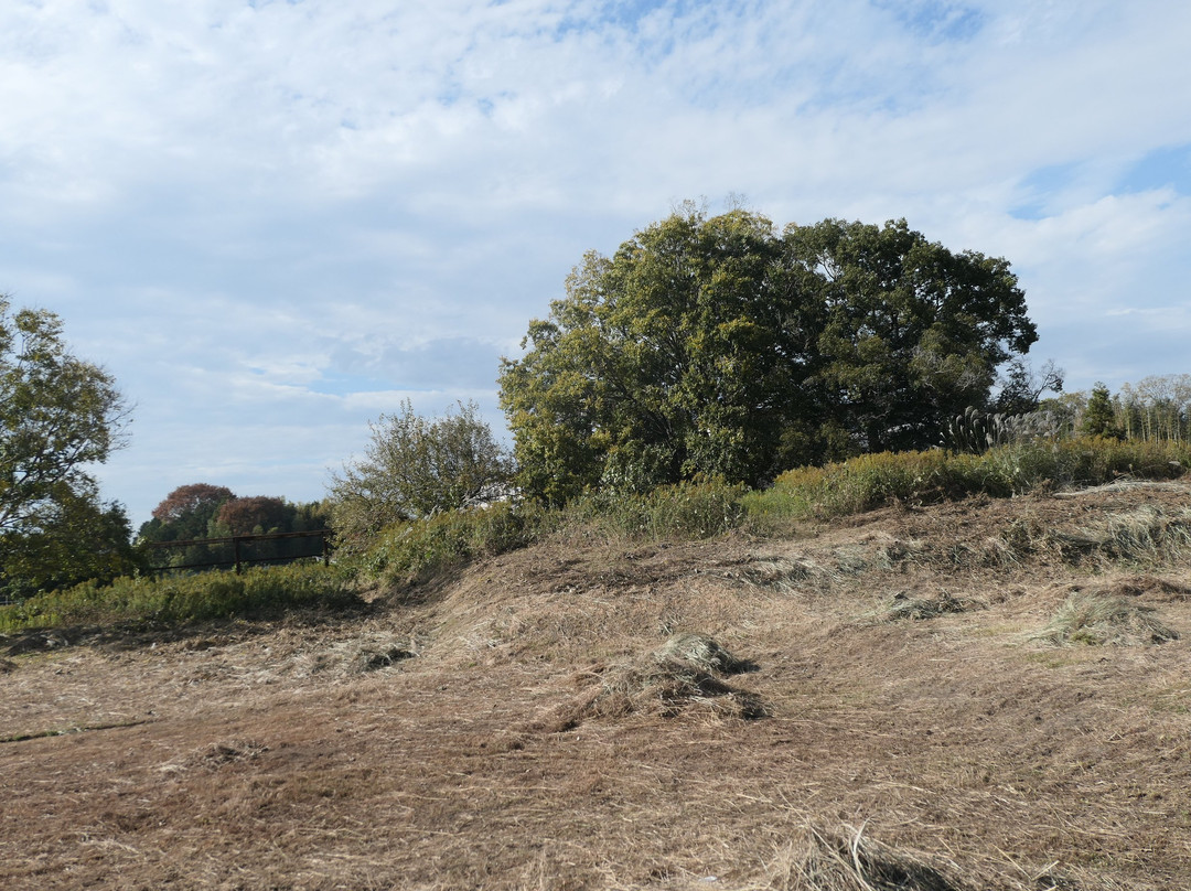 Makimukuishizuka Burial Mound