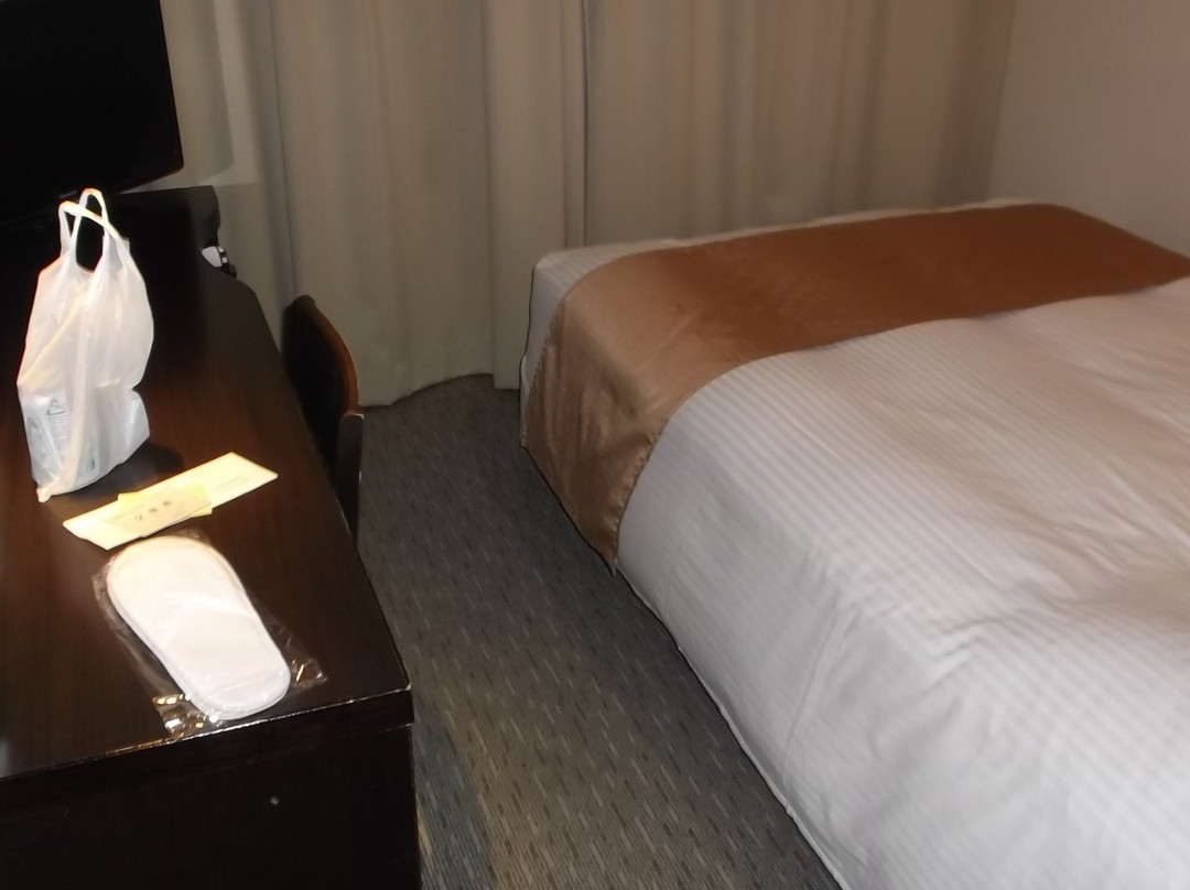 Fukuchiyama Ark Hotel主图