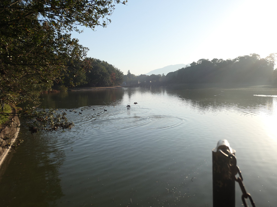 Fukada Pond-橿原市必去景点