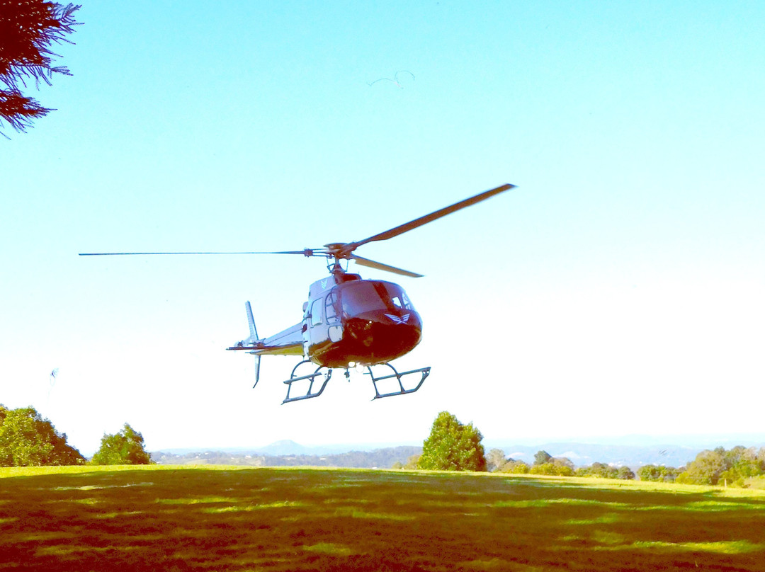 Elite Helicopters Pty Ltd-布里斯班必去景点