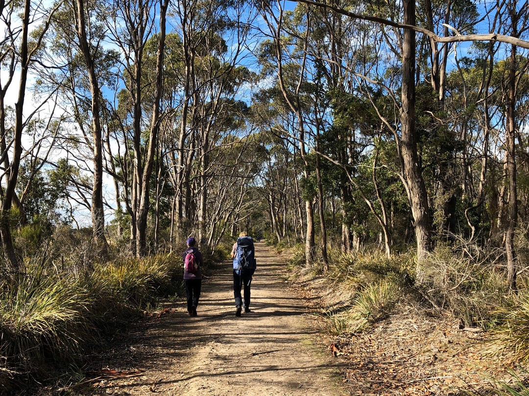 Tasmanian Walking Company景点图片