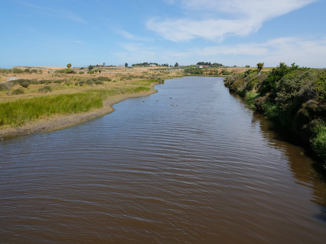 Otipua Wetland景点图片