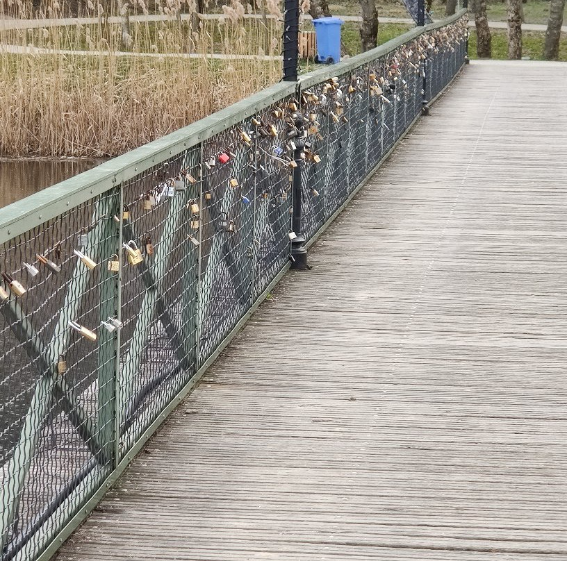 Comana Nature Park景点图片