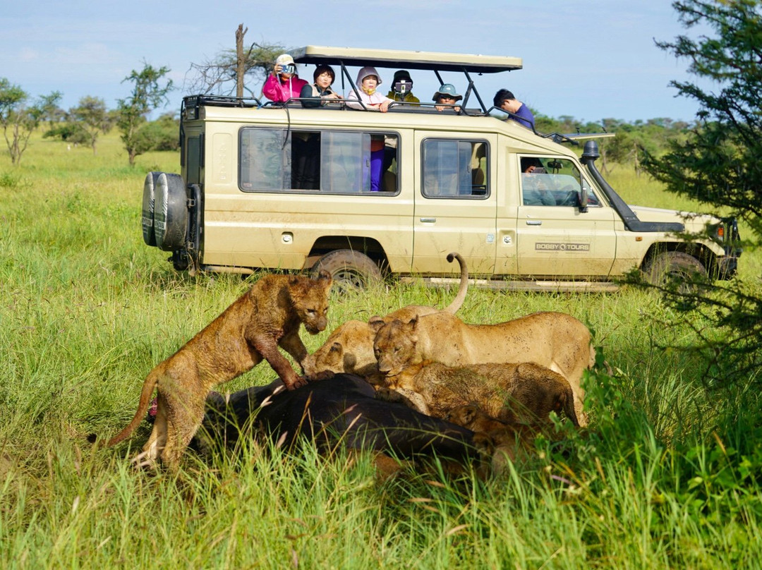 Kibosho Tours and Safaris-莫西必去景点