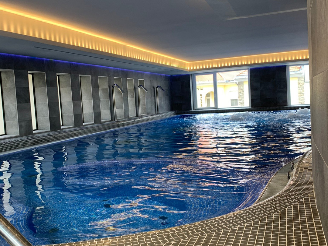 Bonvital Wellness & Gastro Hotel Heviz主图