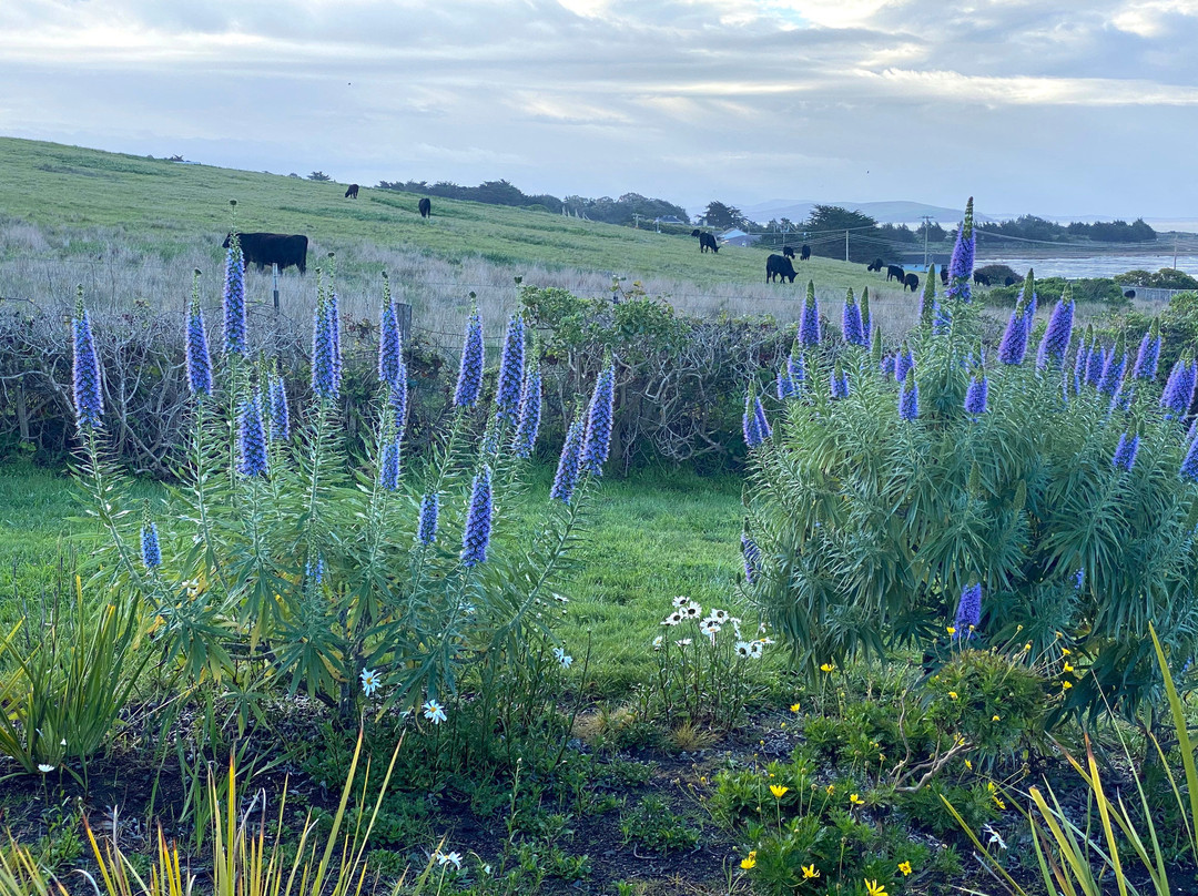 The Inn at the Tides主图