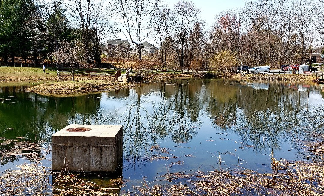 Friends Community Park-Forest Hill必去景点