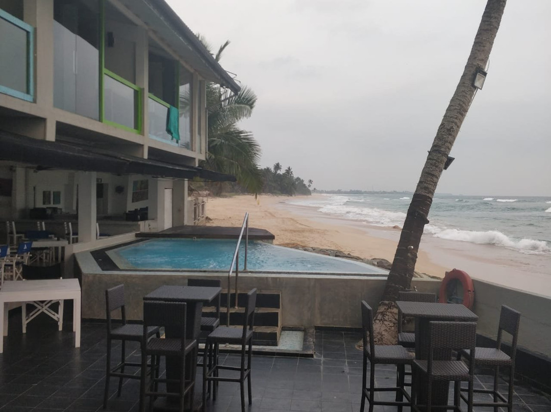 哈密瓜水族主图