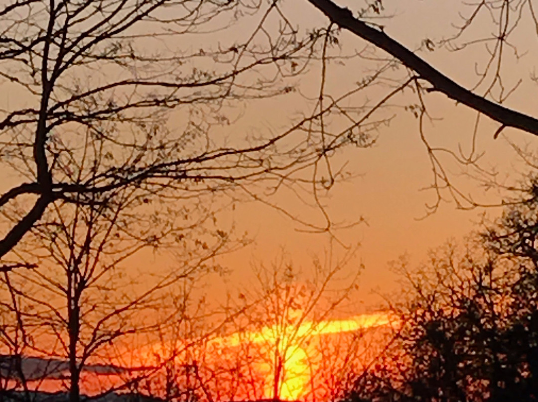 Mount Angel Abbey-Saint Benedict必去景点