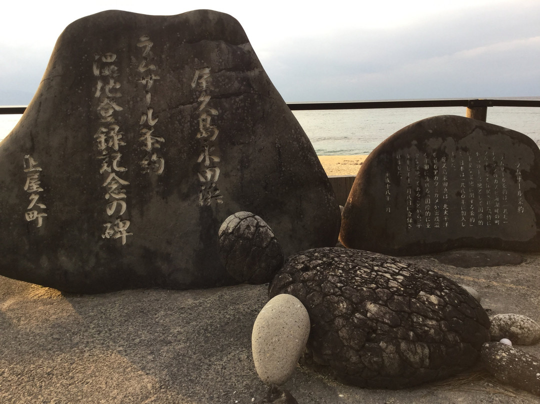 Nagata Inakahama景点图片