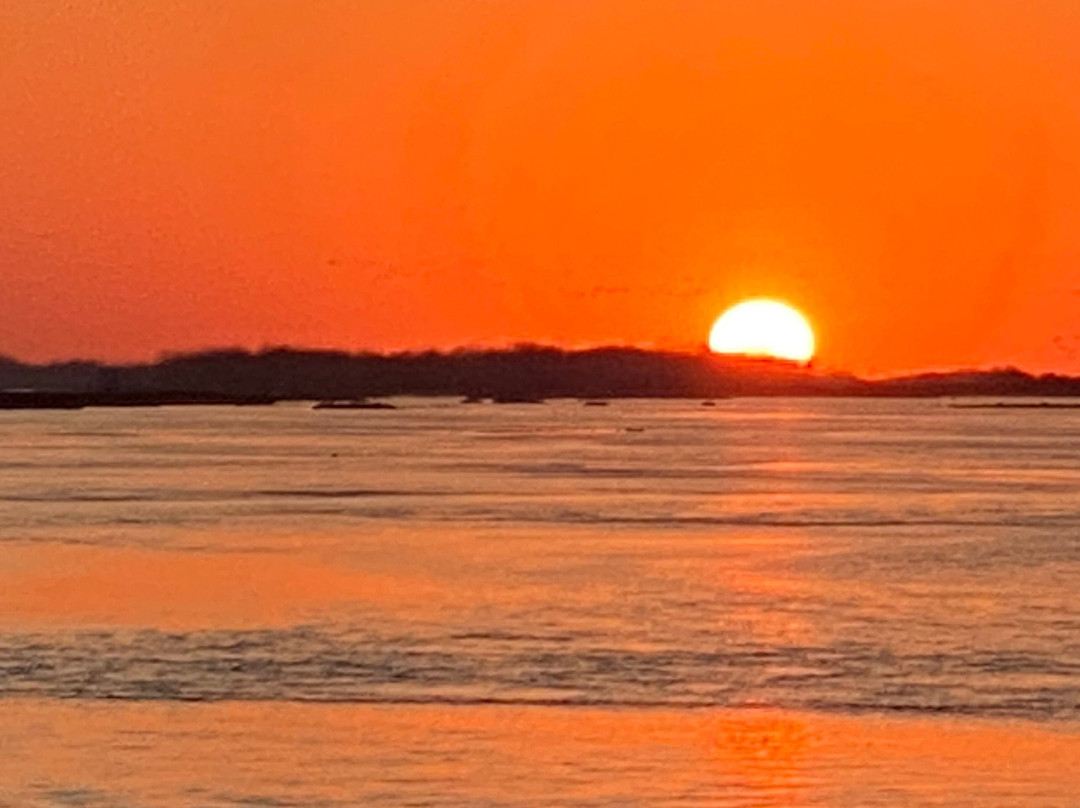 Audubon's Rowe Sanctuary-Gibbon必去景点