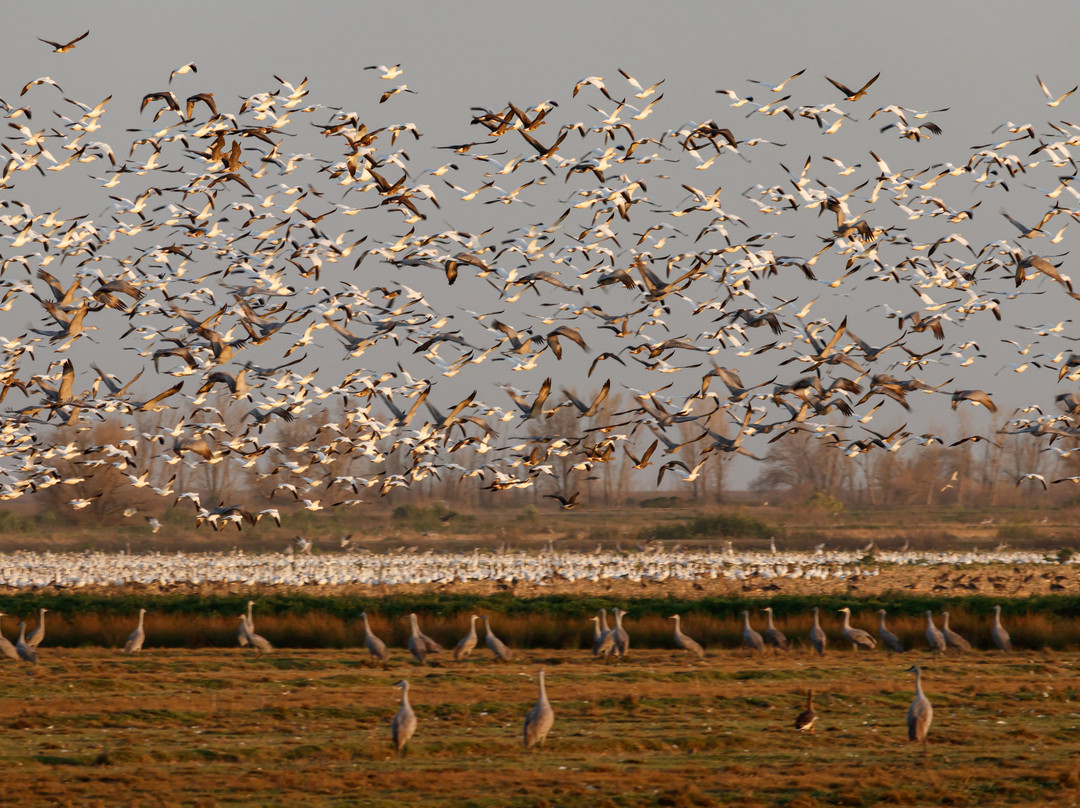 默塞德国家野生动物保护区-默塞德必去景点