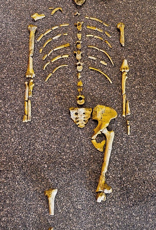 Museum of Ancient Wonders-大教堂城必去景点