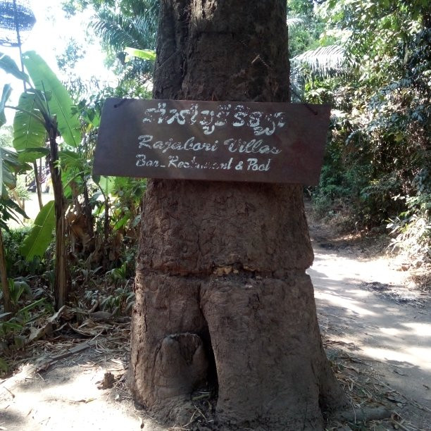 Rajabori Villas主图