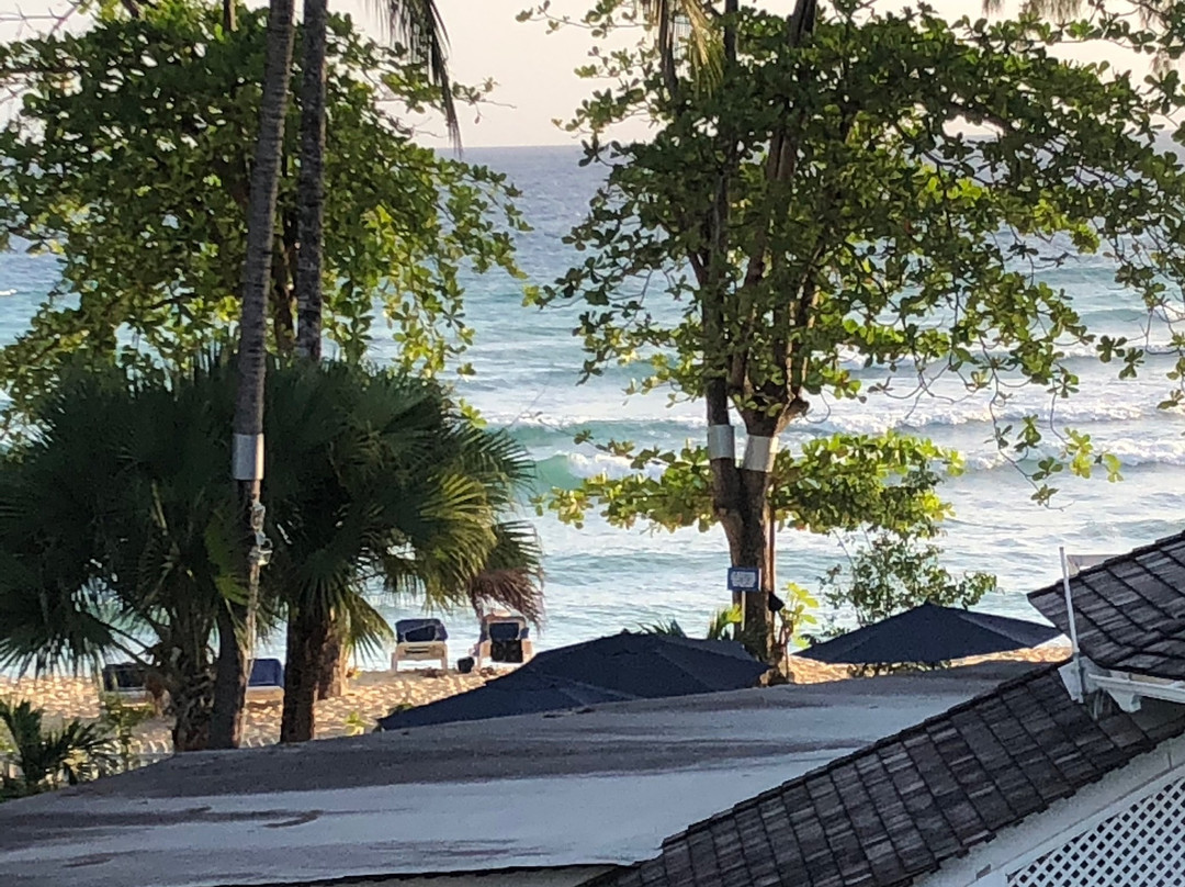 萨瓦纳酒店主图