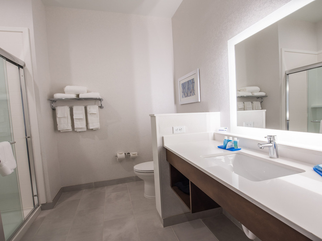 Holiday Inn Express & Suites Dripping Springs - Austin Area By IHG主图