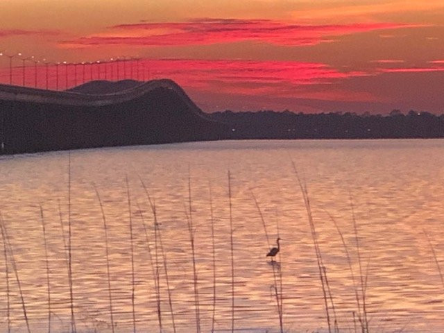 Bay Town Inn Bed & Breakfast主图