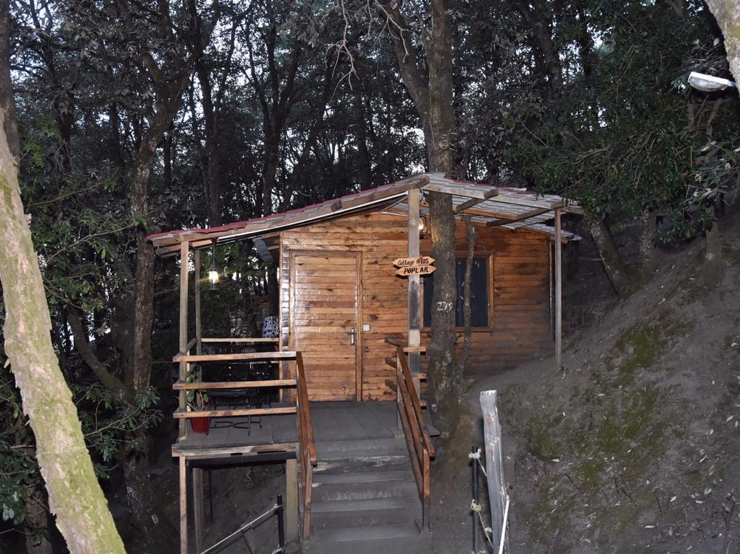 西姆拉阿莫德度假村主图