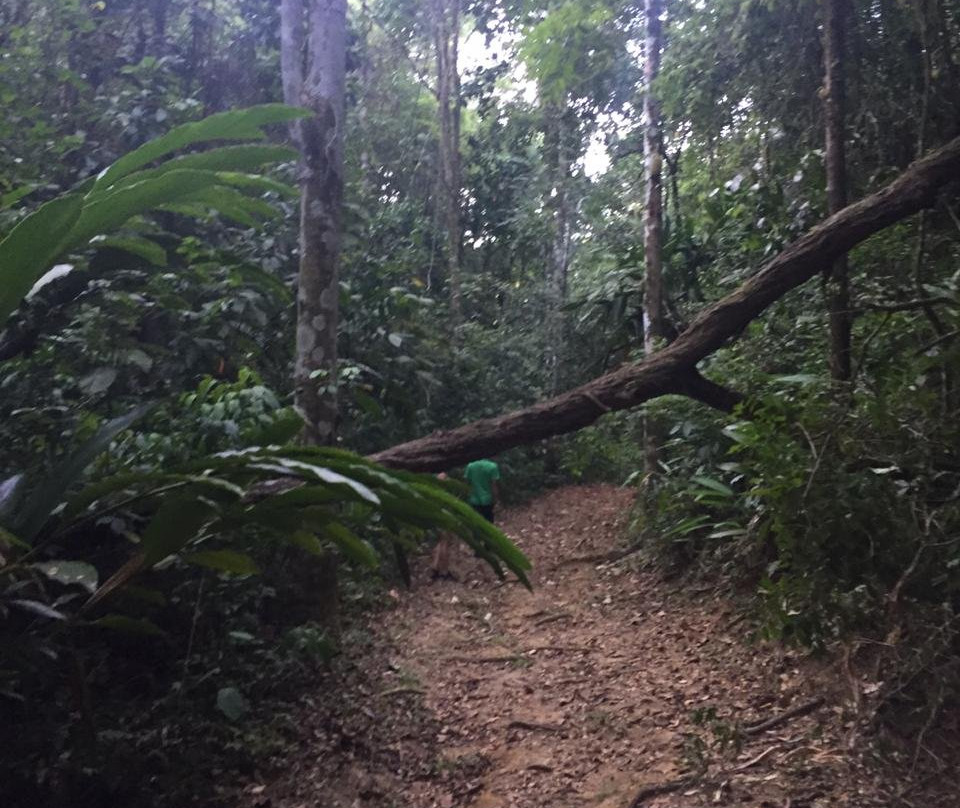 Parque das Trilhas-Guaramiranga必去景点