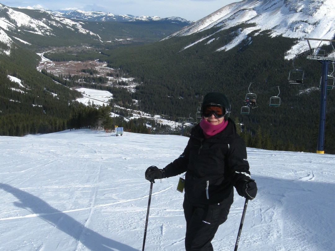 Stepping Stone Cabins主图