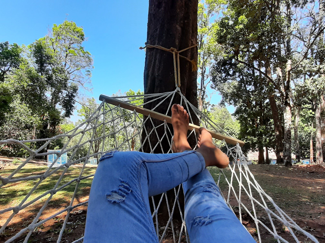 900 Woods Eco Resort主图