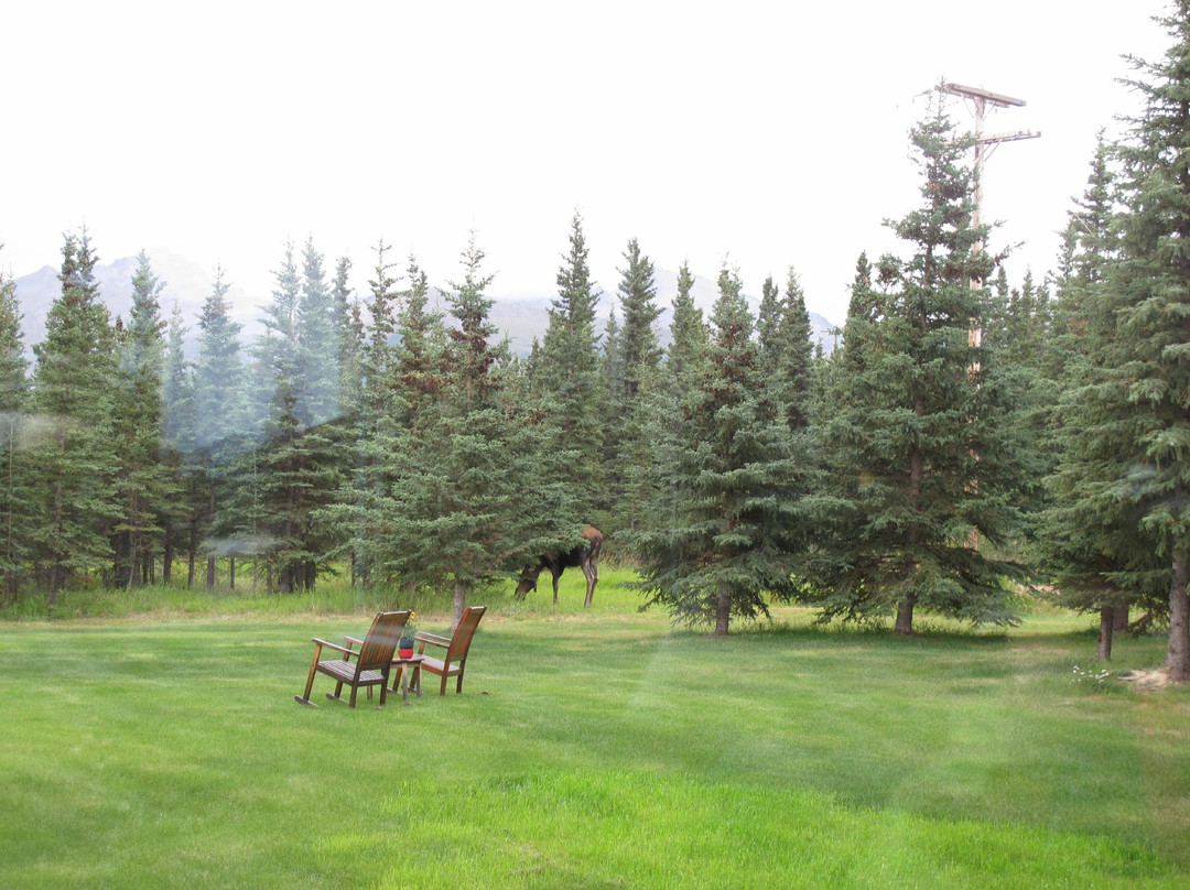 Denali Dome Home Bed And Breakfast主图