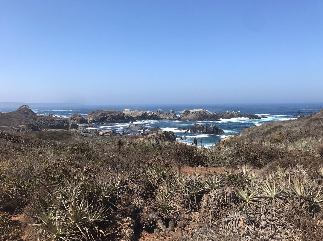 Salto El Puquen-Los Molles必去景点