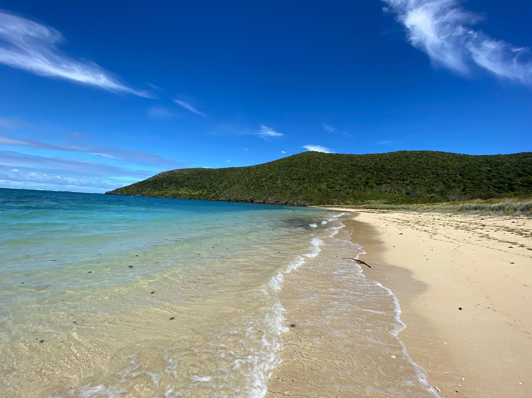 Old Settlement Beach-豪勋爵群岛必去景点