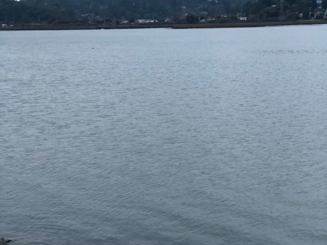 阿克瓦酒店主图