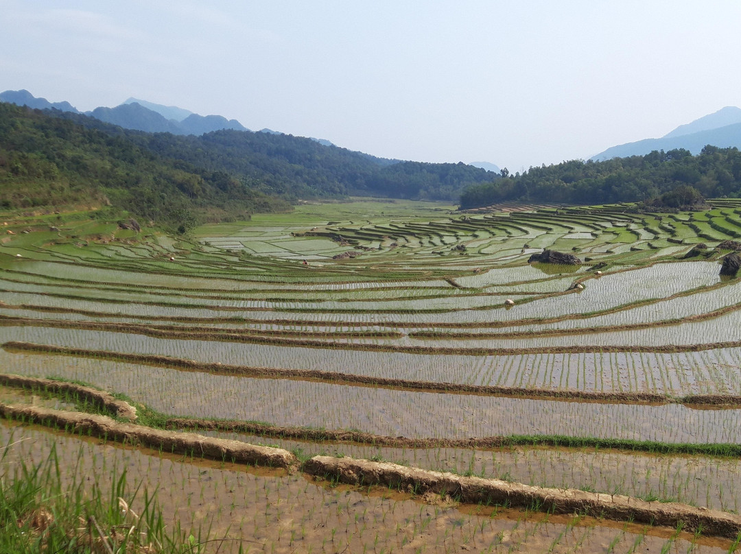 Mai Chau Best Tours景点图片