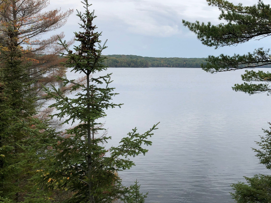 Bark Lake Leadership & Conference Centre景点图片