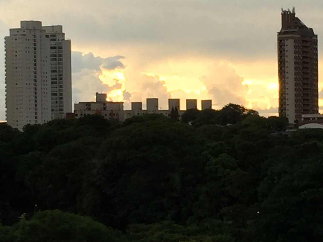 Hotel Beira Rio Palace主图